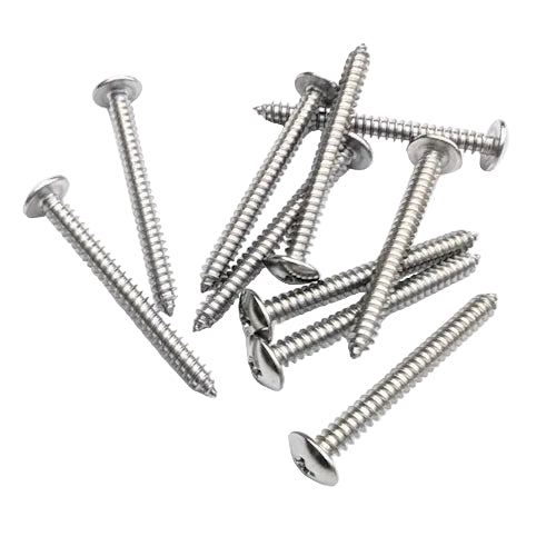 A group of 10 silver stainless steel truss-head wood 2" screws with threaded shanks, arranged on a plain white background.