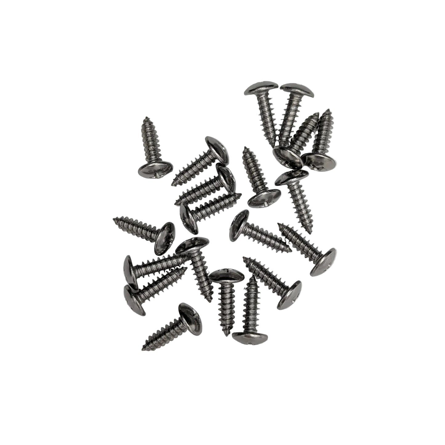 A group of 20 silver stainless steel truss-head slat screws on a white background.