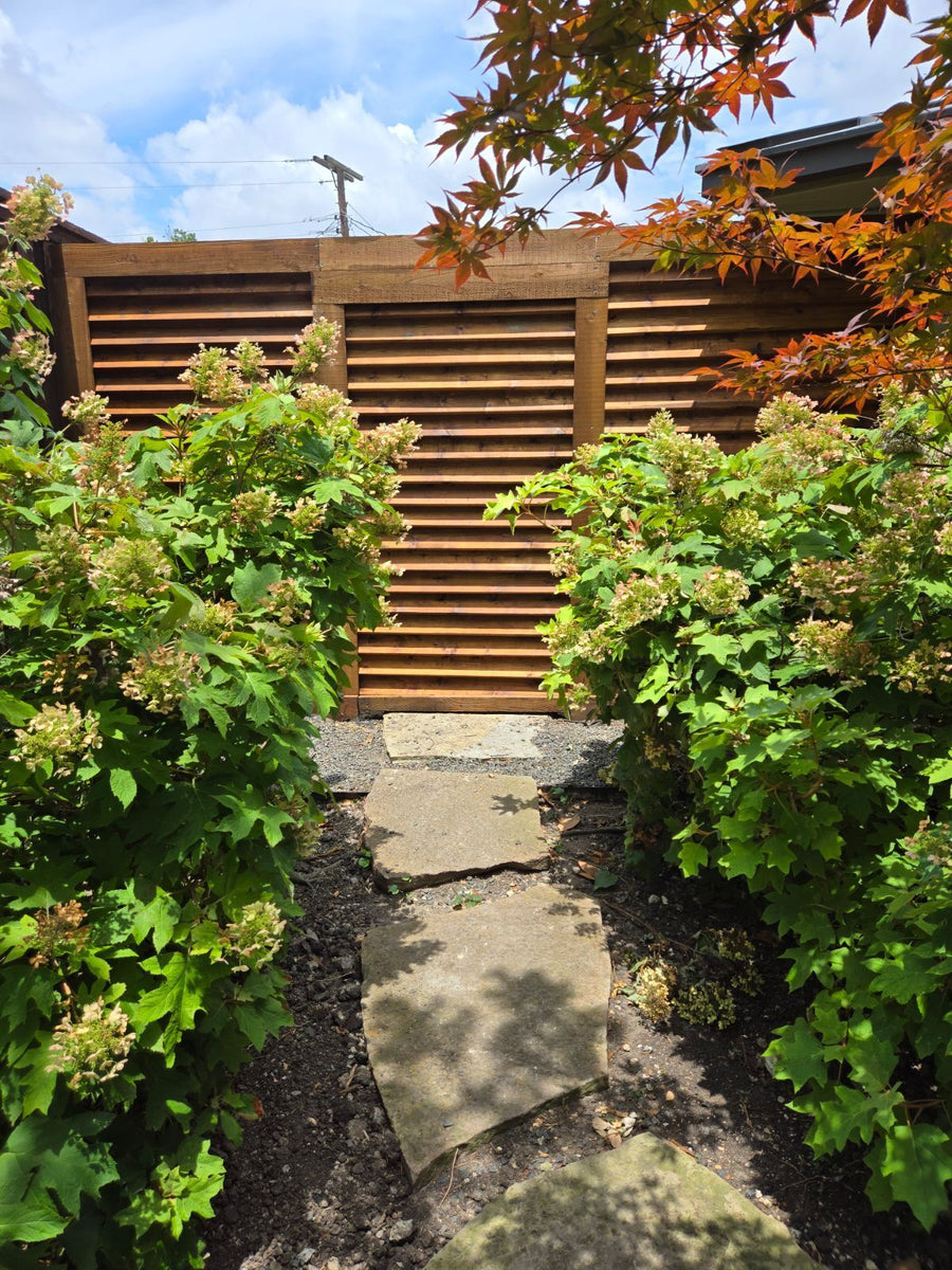 Louvered Backyard Entrance